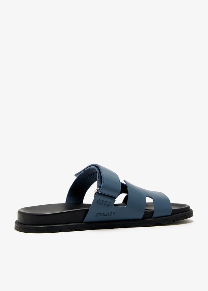 pl462671_4.jpg?ts=20250329040527