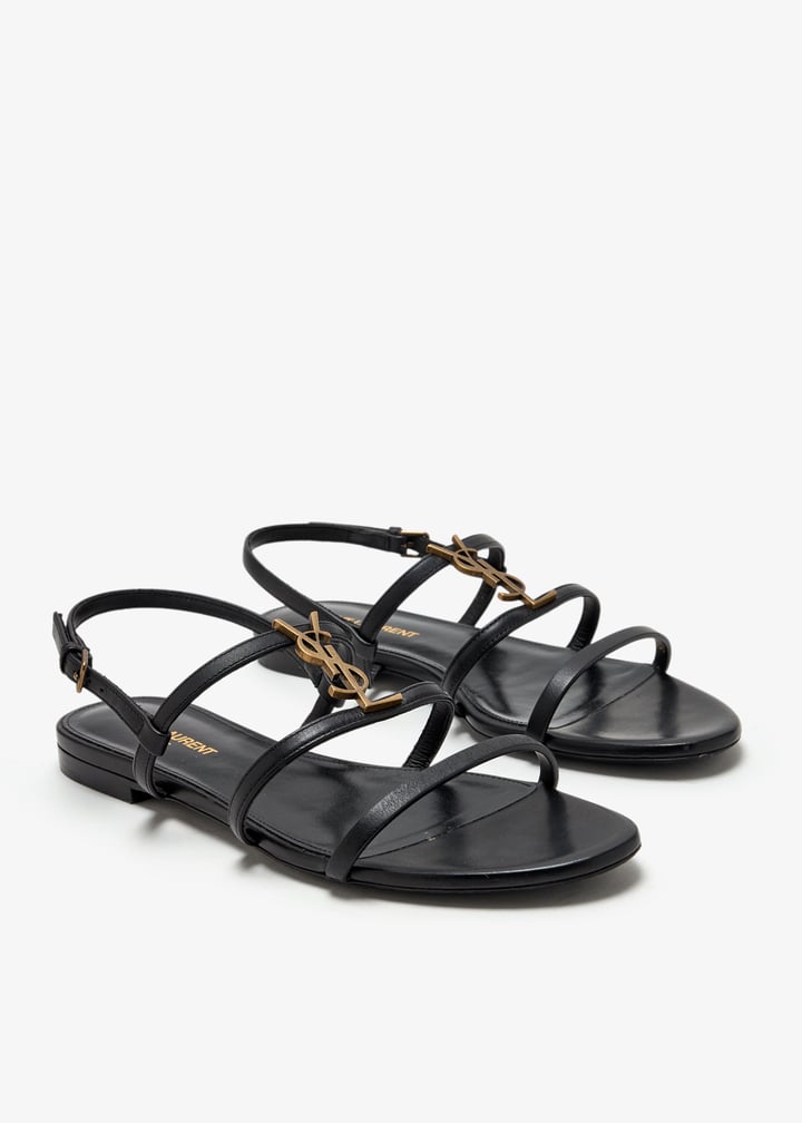 pl462892_3.jpg?ts=20250709210406