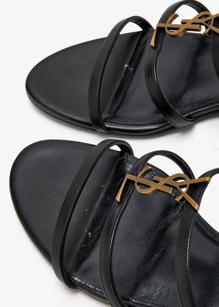 pl462892_5.jpg?ts=20250709210409