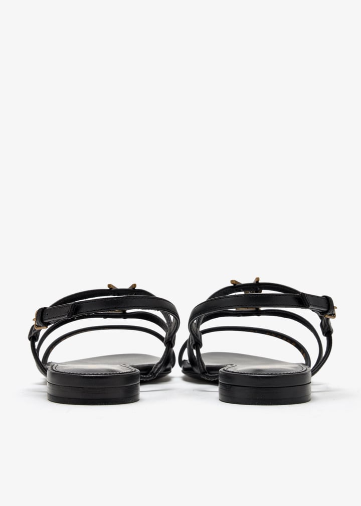 pl462892_6.jpg?ts=20250709210410