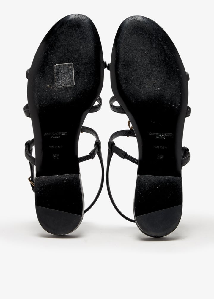 pl462892_7.jpg?ts=20250709210411