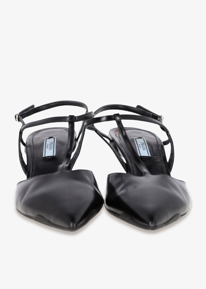 pl462919_3.jpg?ts=20250328035028