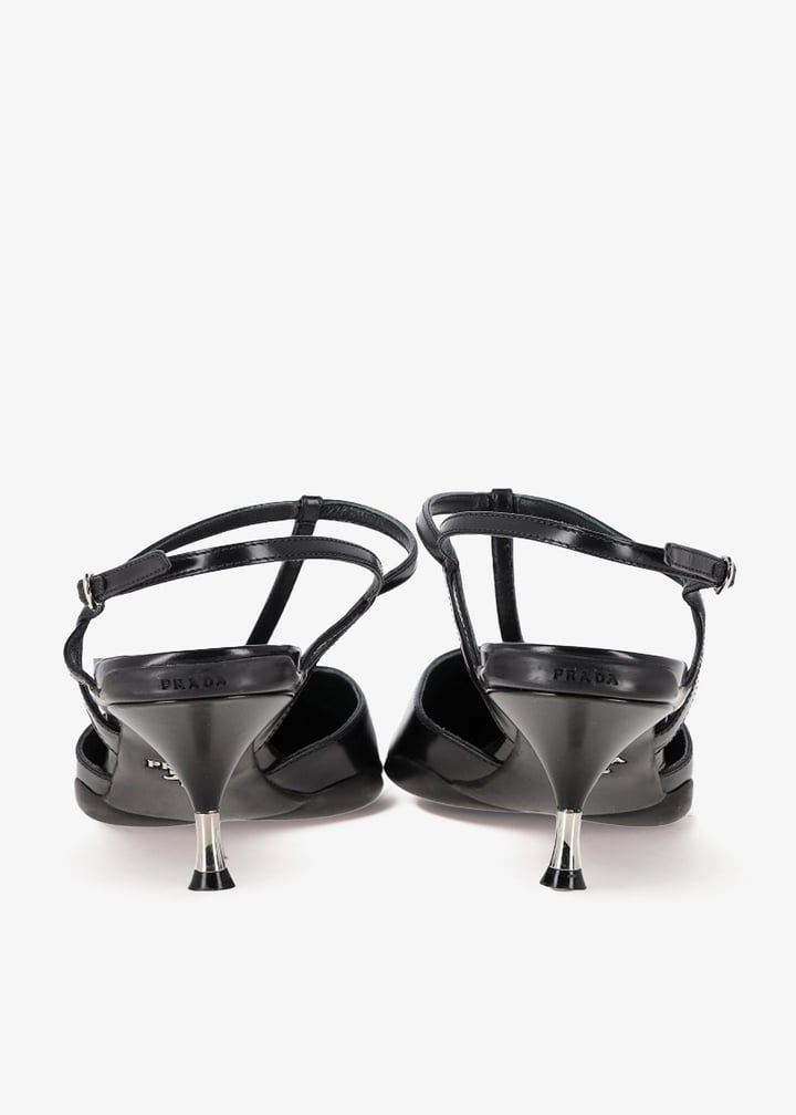 pl462919_4.jpg?ts=20250328035028