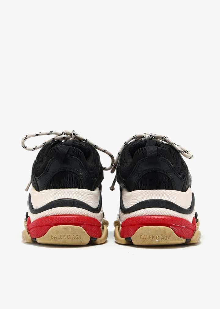 pl463406_6.jpg?ts=20250422033037