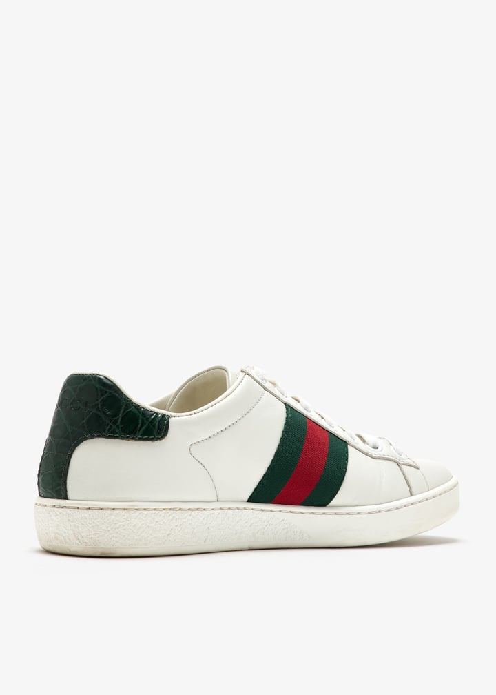 pl463746_4.jpg?ts=20250417032523