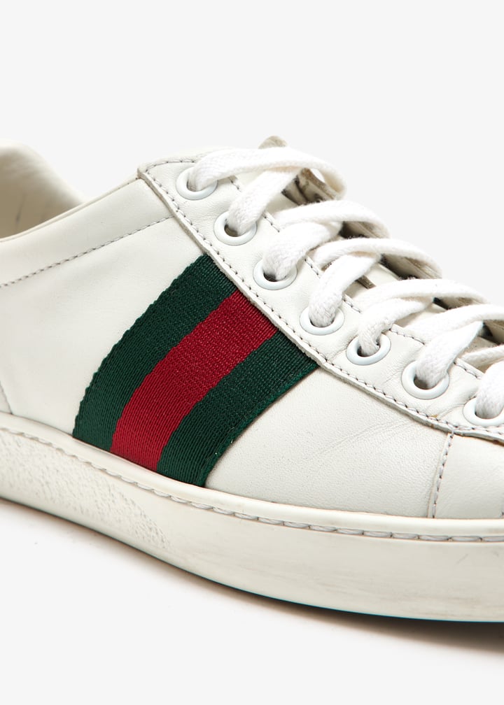 pl463746_5.jpg?ts=20250417032523