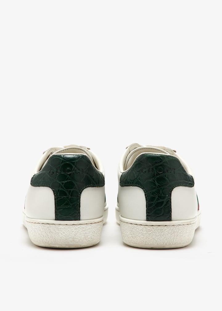 pl463746_6.jpg?ts=20250417032523