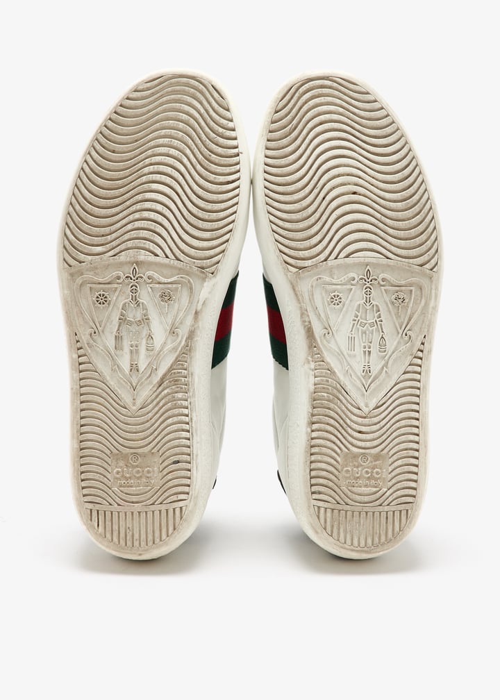 pl463746_7.jpg?ts=20250417032523