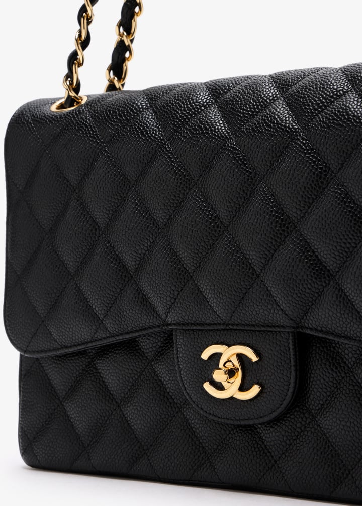 pl463747_3.jpg?ts=20250408035538