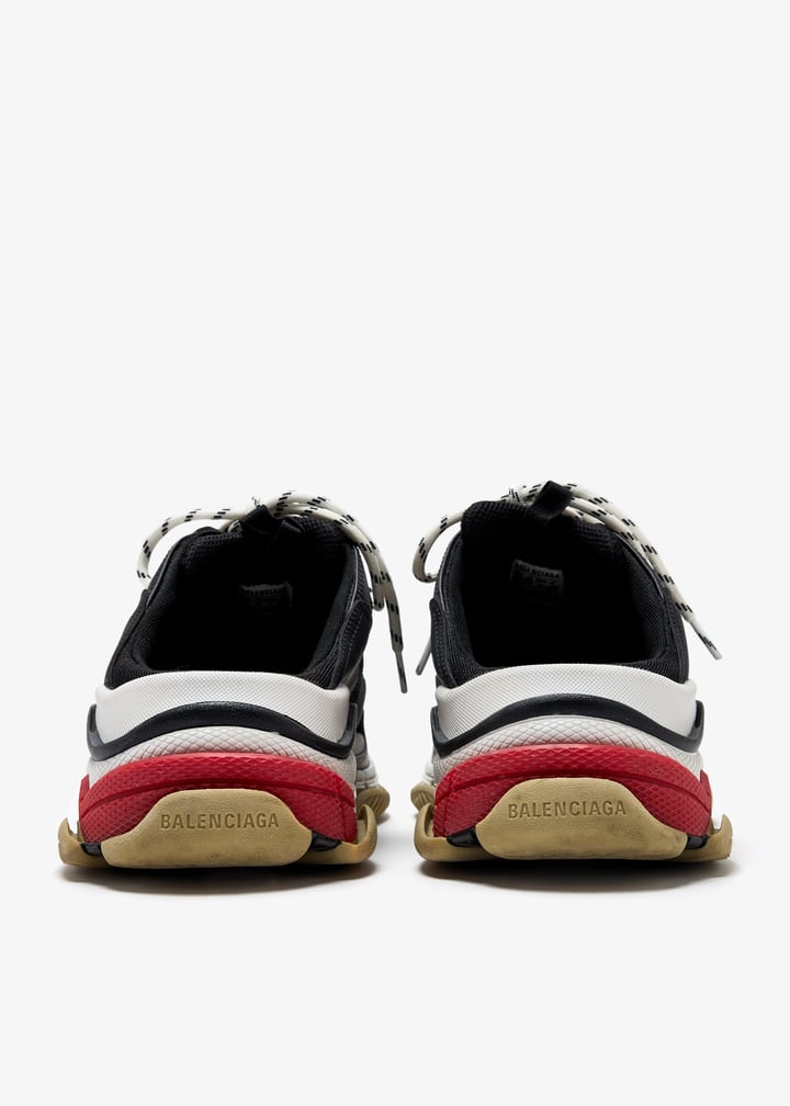 pl463817_6.jpg?ts=20250408035543