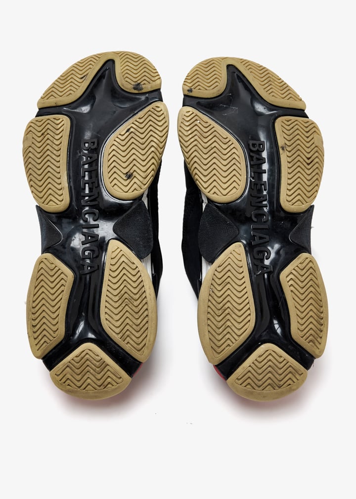 pl463817_7.jpg?ts=20250408035543