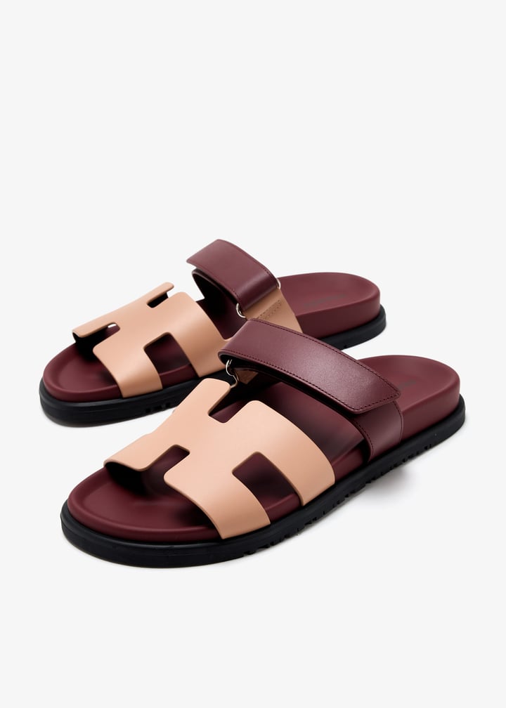 pl463825_3.jpg?ts=20250408035543