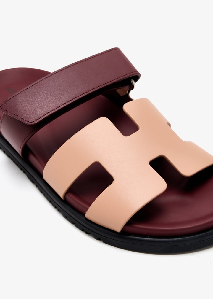 pl463825_5.jpg?ts=20250408035543