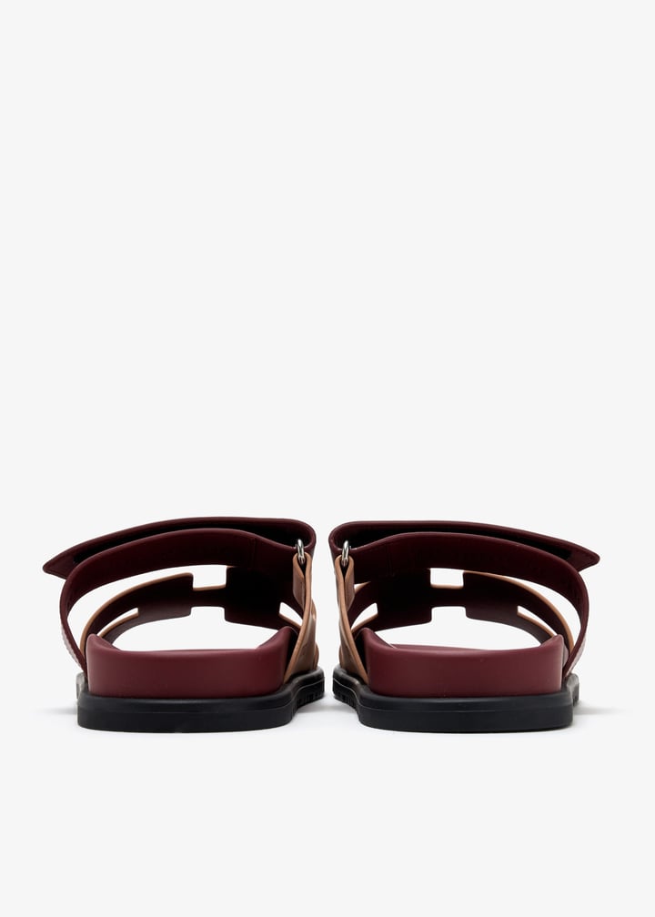 pl463825_6.jpg?ts=20250408035543