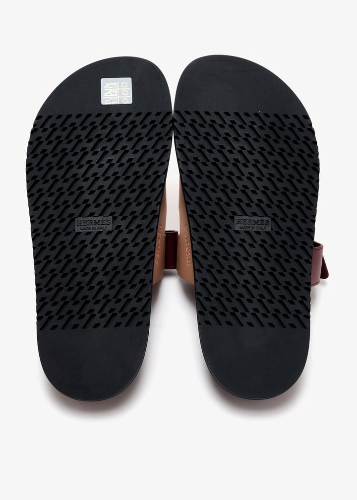 pl463825_7.jpg?ts=20250408035543