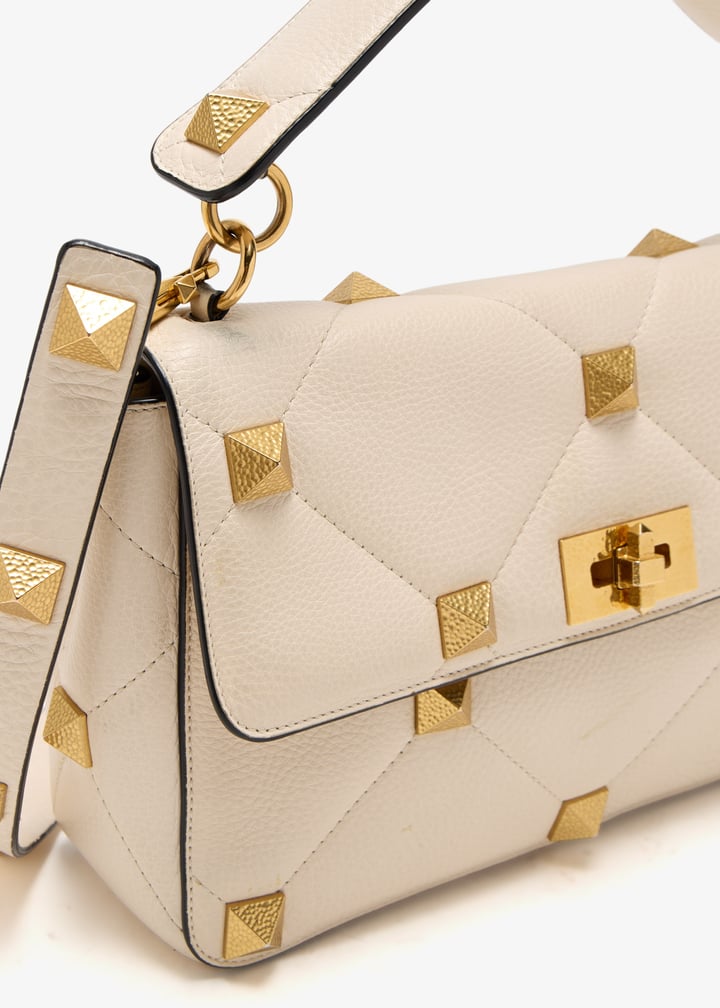 pl464858_3.jpg?ts=20250415041518