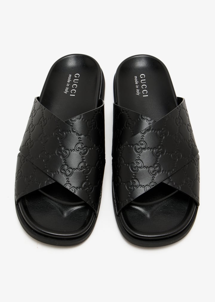 pl466869_3.jpg?ts=20250429033038