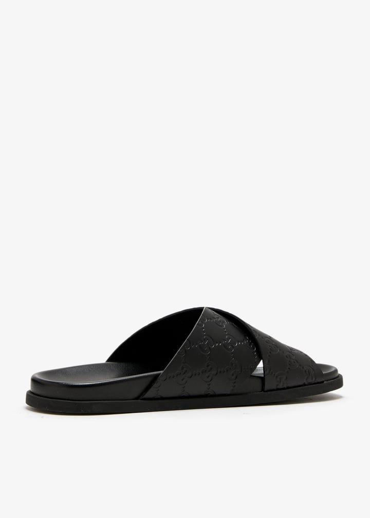 pl466869_4.jpg?ts=20250429033038