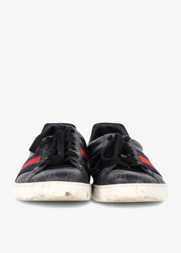 pl468142_2.jpg?ts=20250502143527