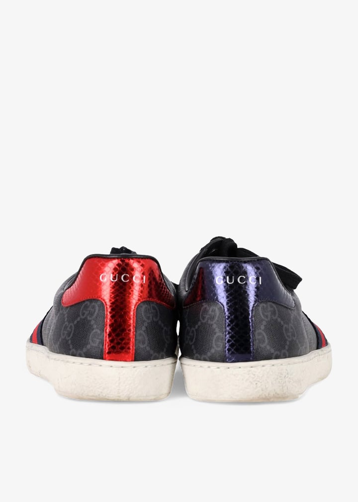 pl468142_3.jpg?ts=20250502143527