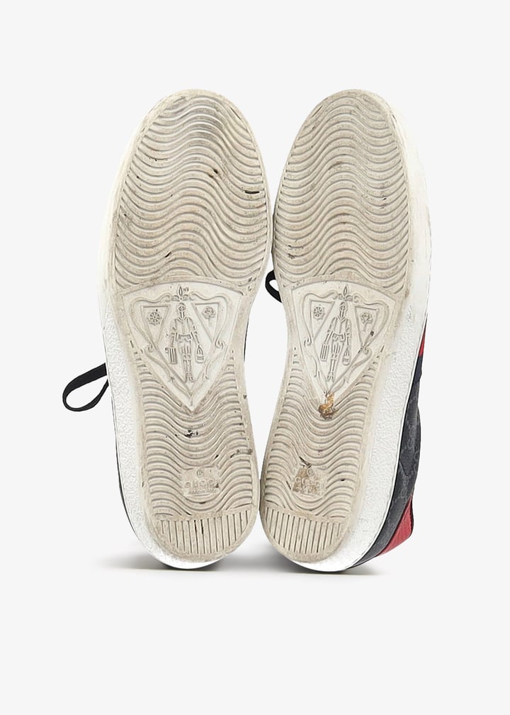 pl468142_4.jpg?ts=20250502143527