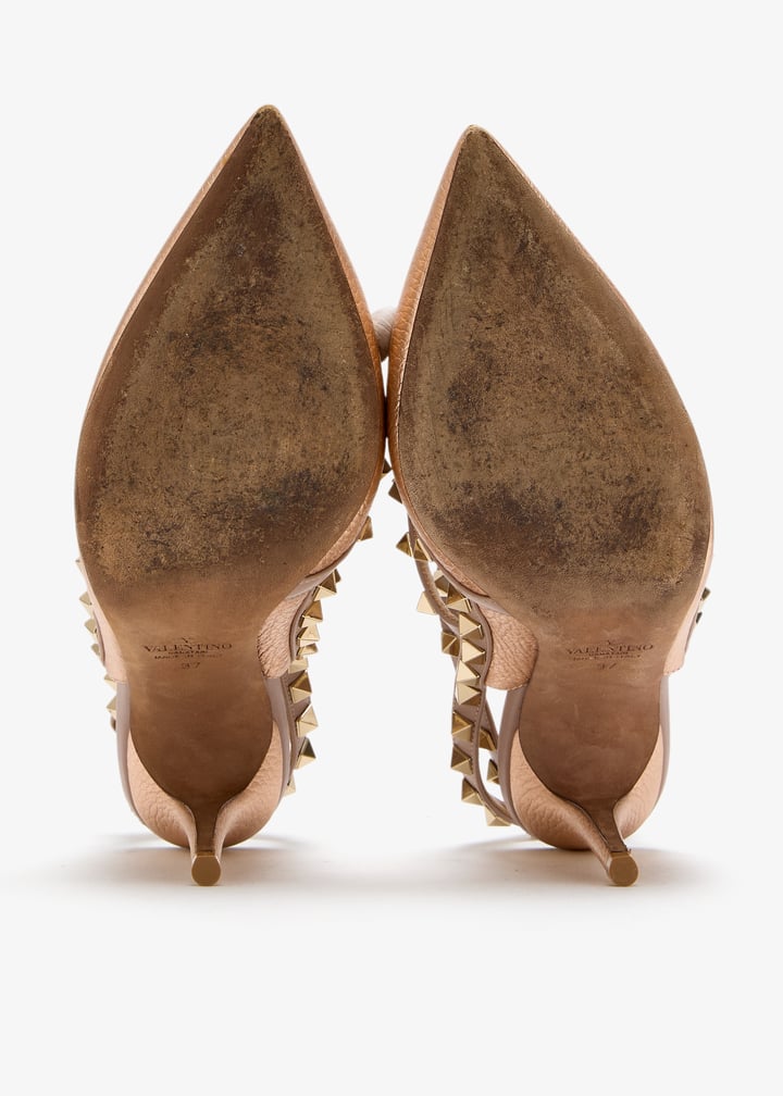 pl471485_7.jpg?ts=20250503035532