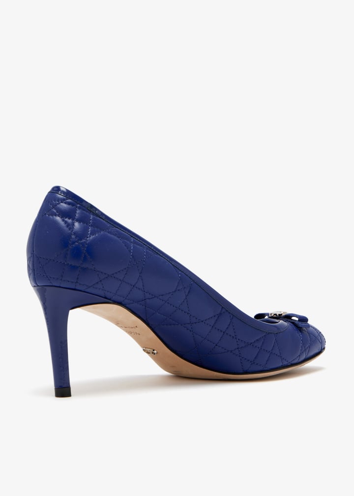 pl471493_4.jpg?ts=20250503035535