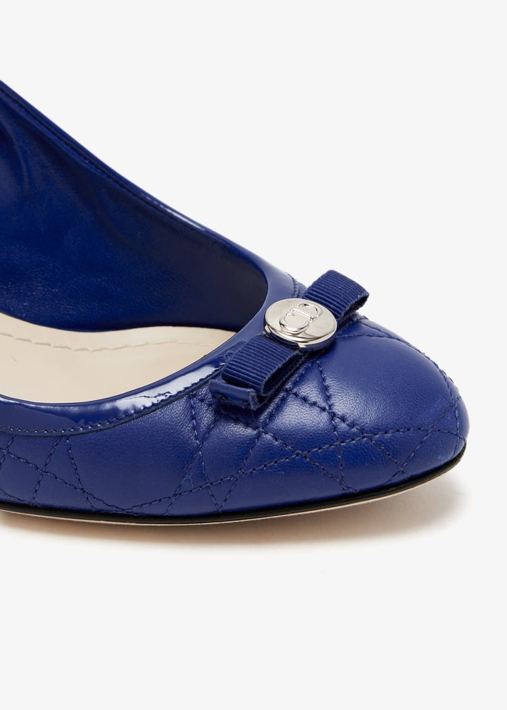 pl471493_5.jpg?ts=20250503035535