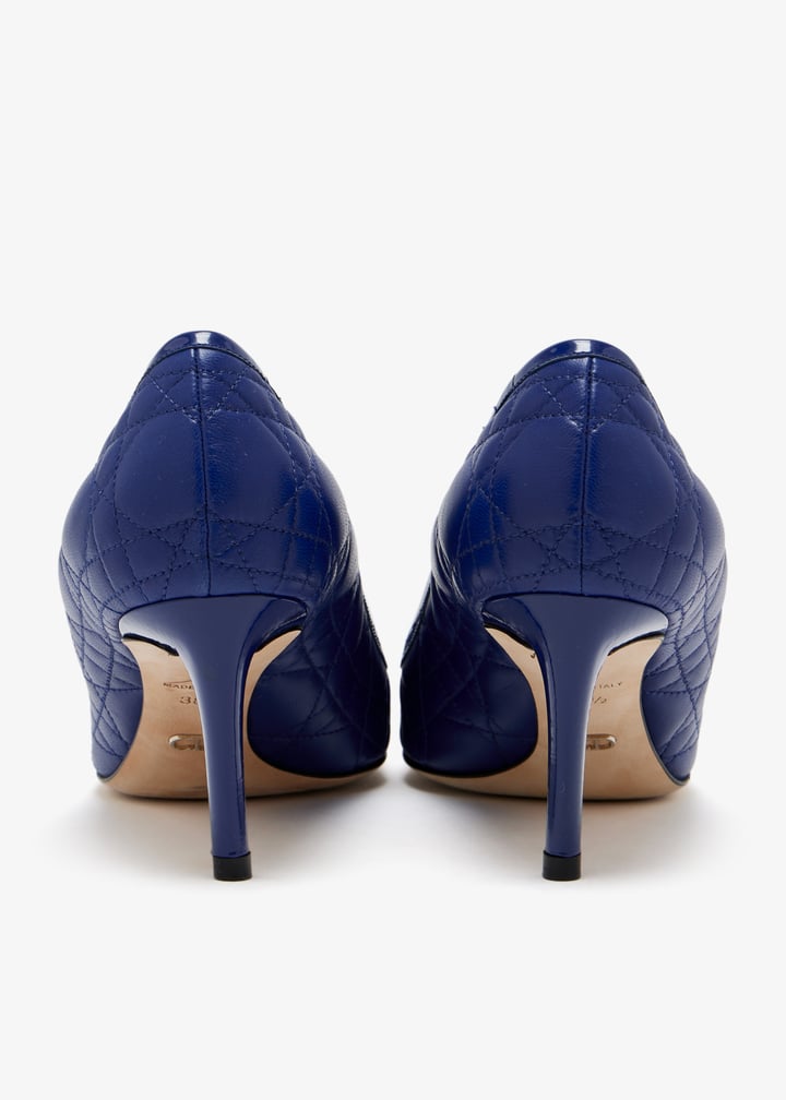 pl471493_6.jpg?ts=20250503035535