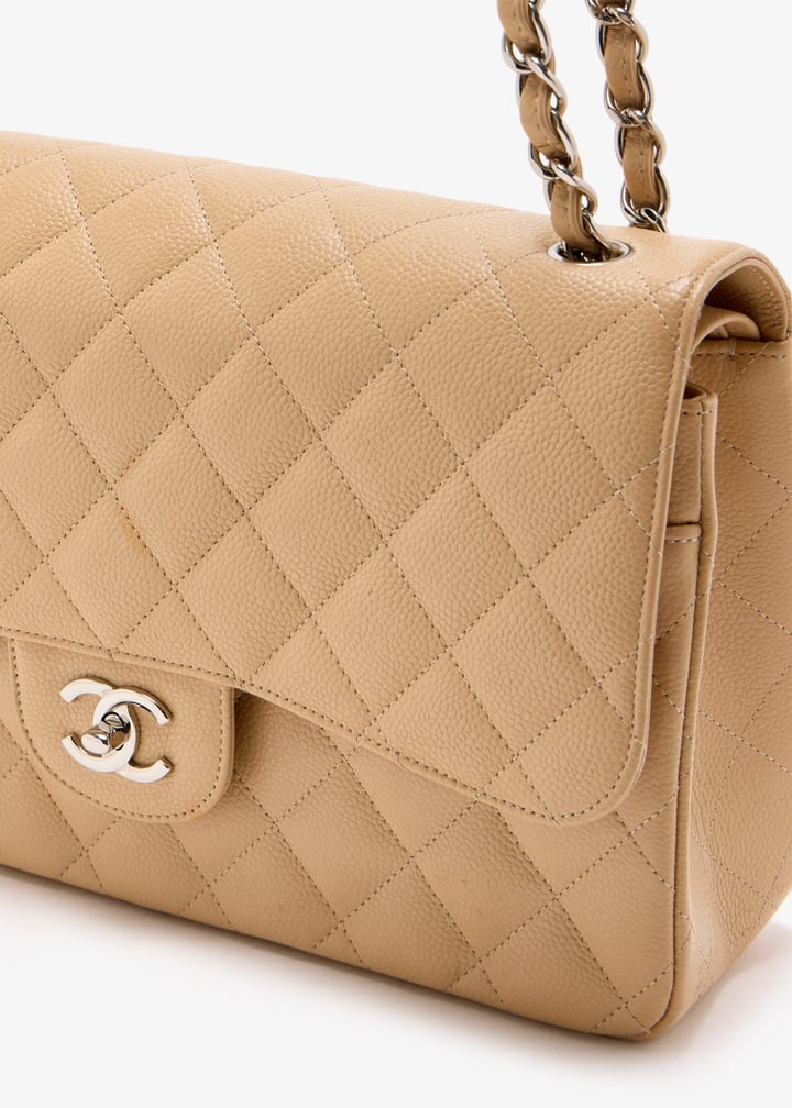 pl473719_3.jpg?ts=20250509031340