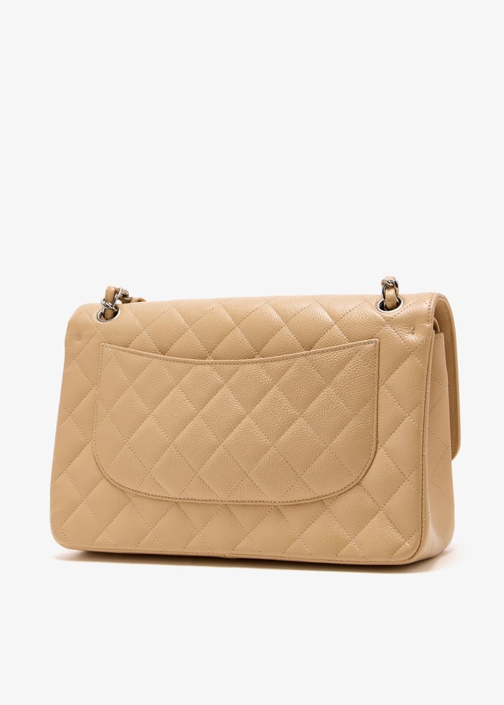 pl473719_4.jpg?ts=20250509031342