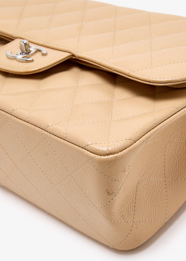 pl473719_6.jpg?ts=20250509031345