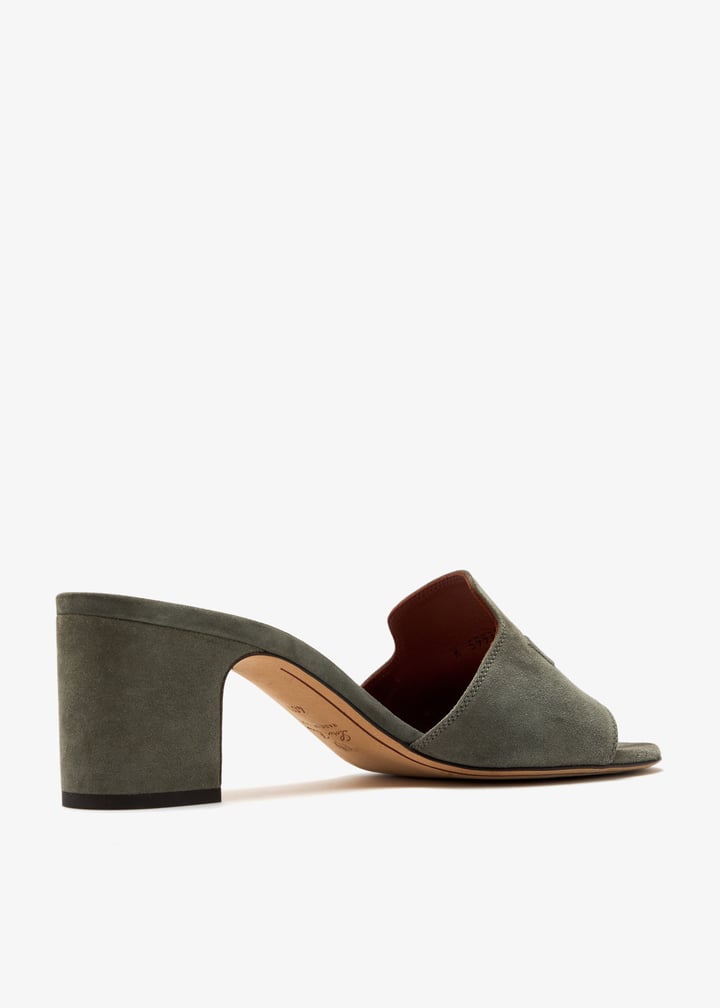 pl473729_4.jpg?ts=20250709210645