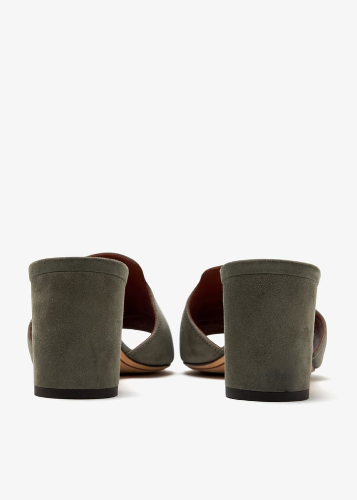 pl473729_6.jpg?ts=20250709210646