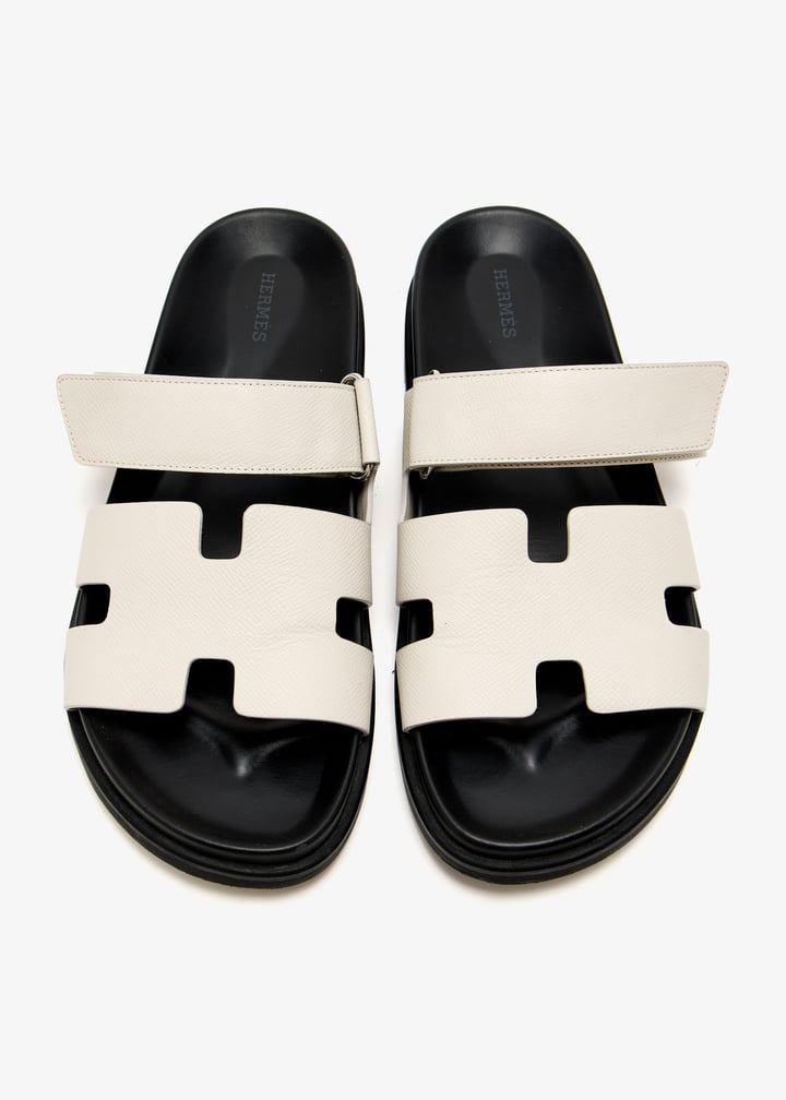 pl475847_3.jpg?ts=20250518020540