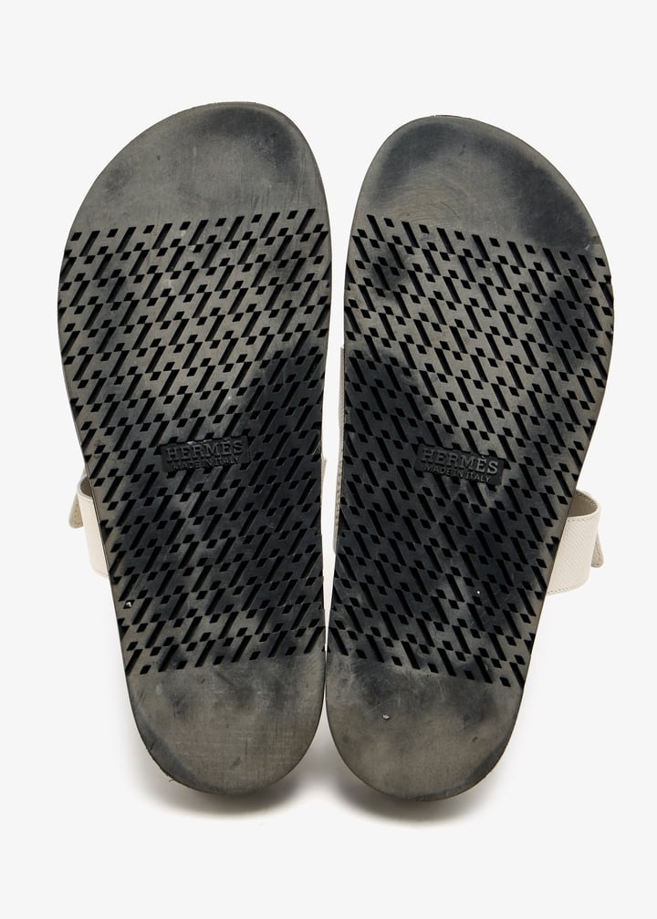 pl475847_6.jpg?ts=20250518020545