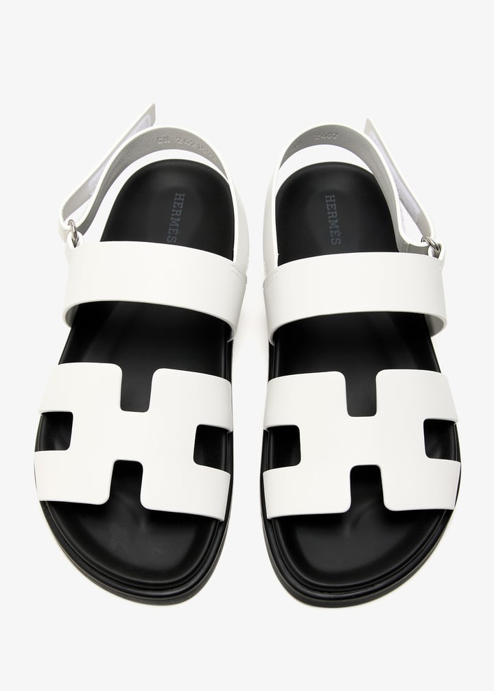 pl478441_3.jpg?ts=20250528082241