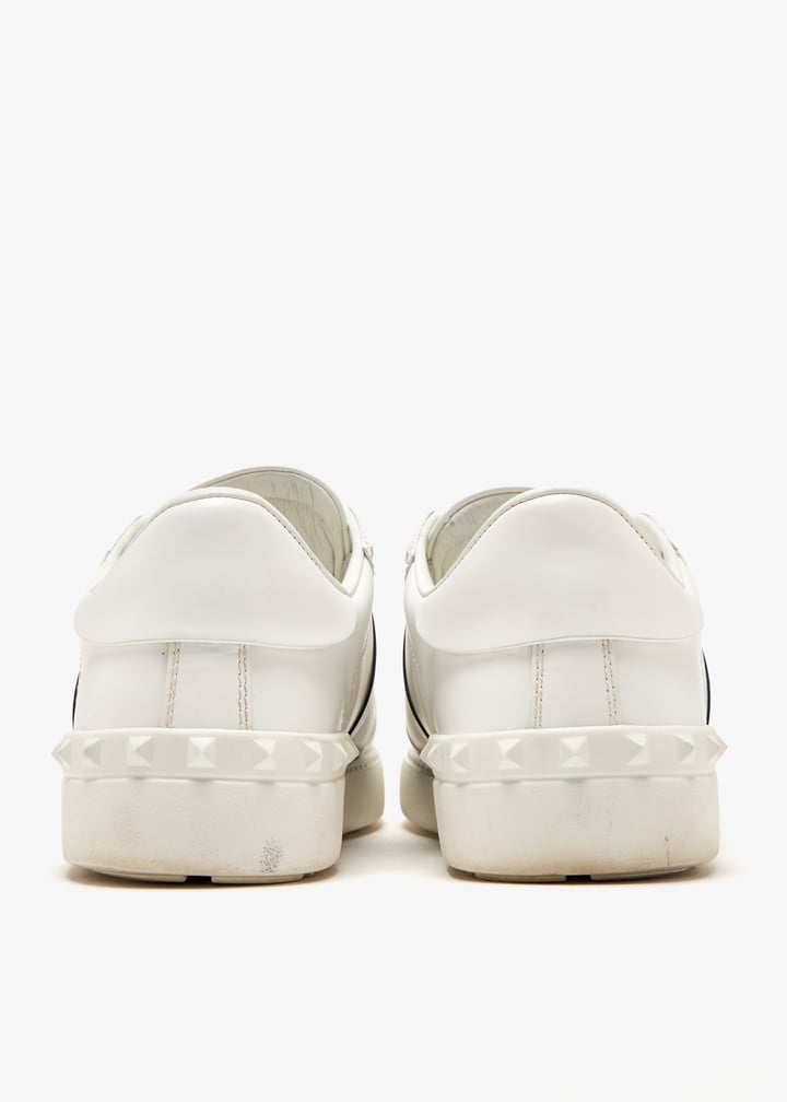 pl482885_6.jpg?ts=20250519021032