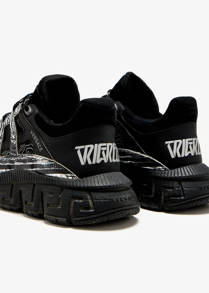 pl484763_5.jpg?ts=20250521051035