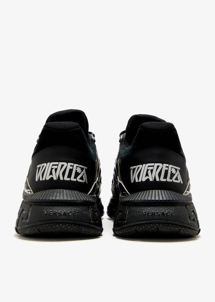 pl484763_6.jpg?ts=20250521051036