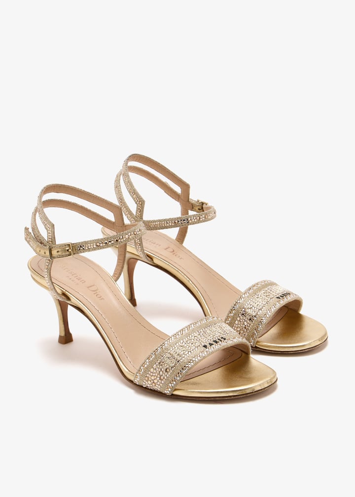 pl484808_3.jpg?ts=20250524042842