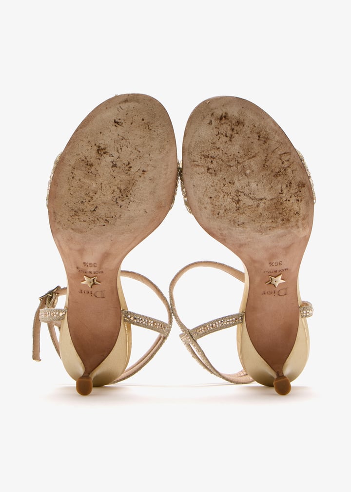 pl484808_7.jpg?ts=20250524042849