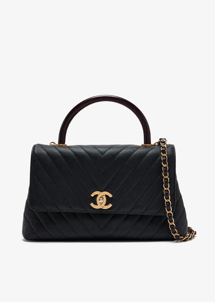 pl494141_1.jpg?ts=20250605030044