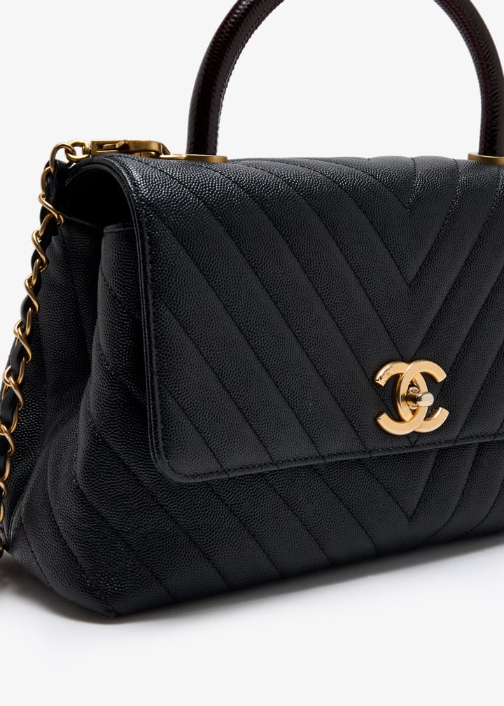 pl494141_3.jpg?ts=20250605030044