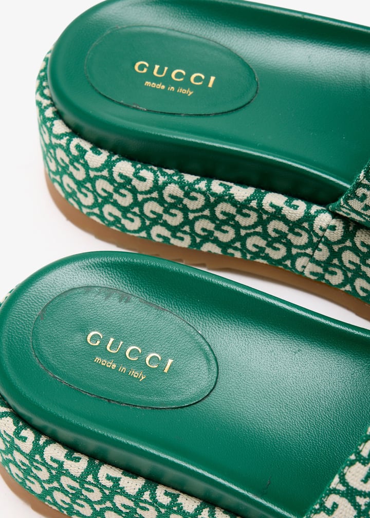 pl498049_5.jpg?ts=20250610165553