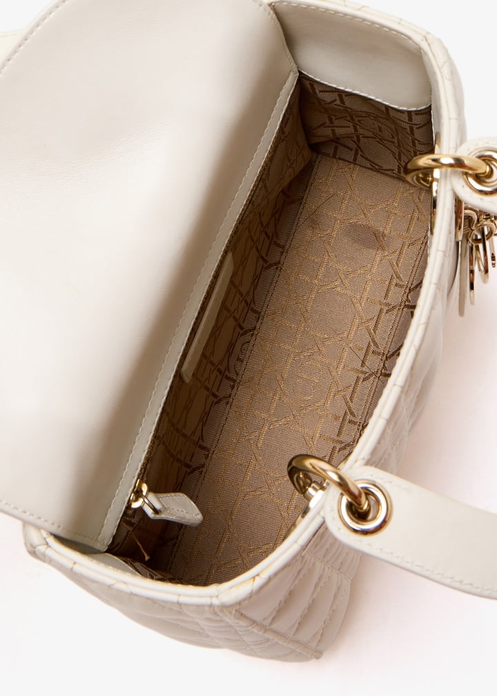 pl499177_7.jpg?ts=20250610165622