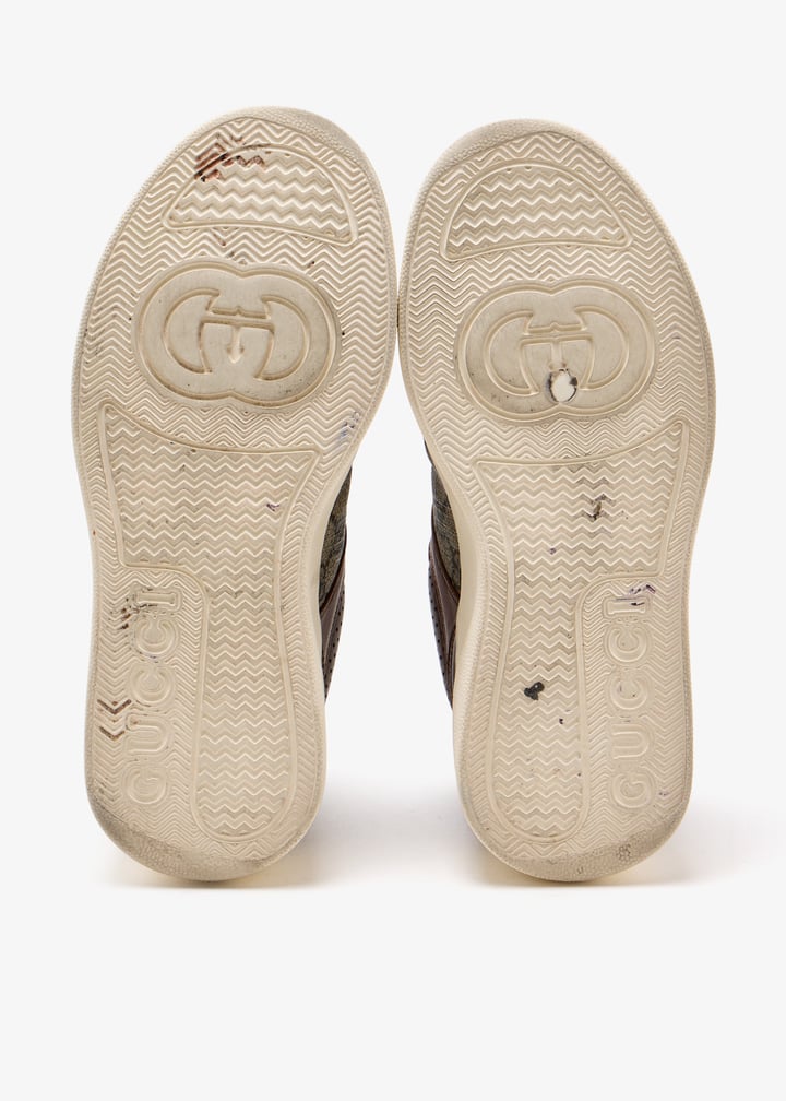 pl499265_7.jpg?ts=20250617042703