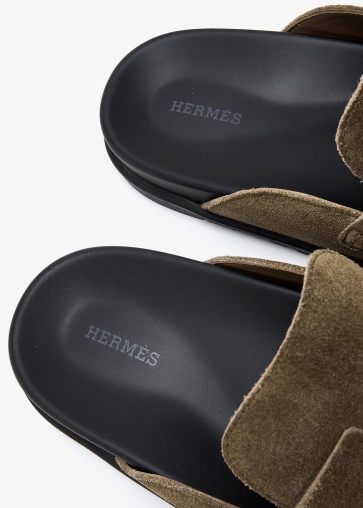 pl499755_6.jpg?ts=20250610165631