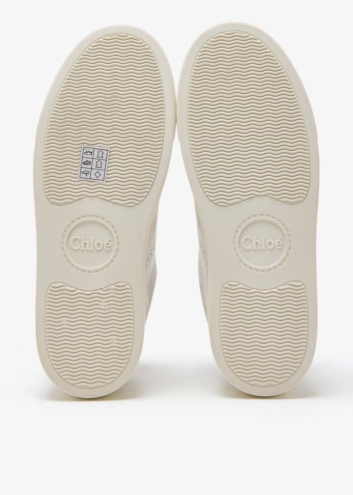 pl503165_7.jpg?ts=20250620024033