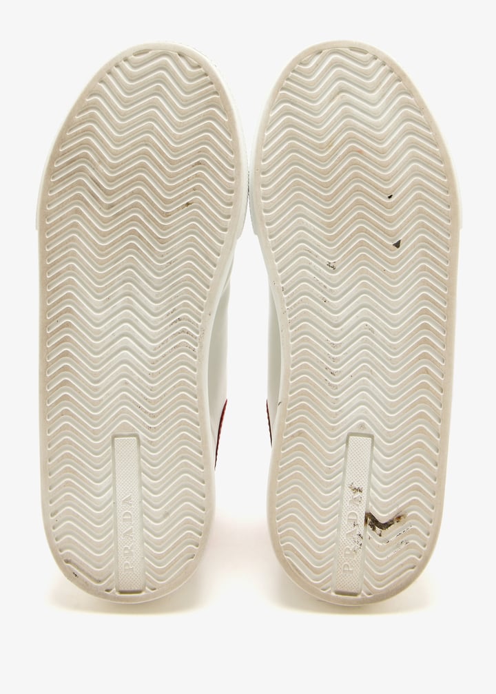 pl503467_7.jpg?ts=20250624033950